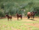 IMG_5807.jpg